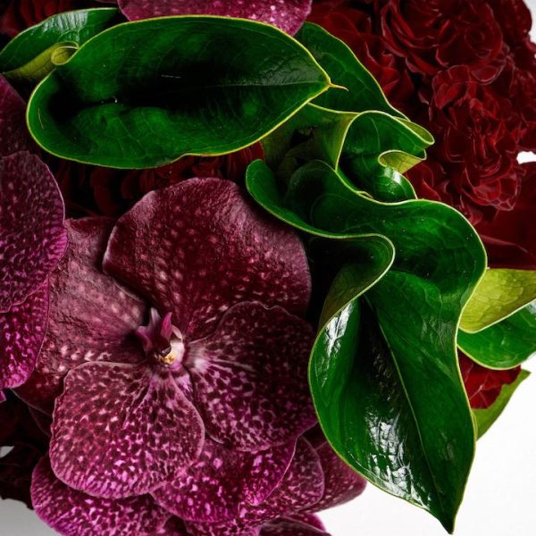 Arreglo de Flores, Flores Frescas, Flores Premium, Flores Exóticas, Floreria en Queretaro, Floreria Renacimiento Casa de Flores