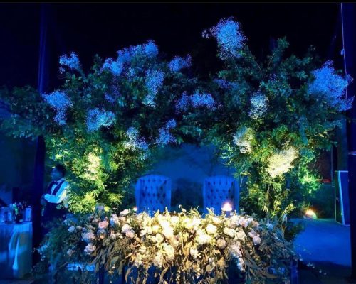 Floreria Bodas Queretaro, Floreria, Floreria Queretaro para Bodas, Floreria Bodas, Bodas San Miguel de Allende, Bodas Queretaro, Flores Bodas, Brides Bouquet, Wedding Flowers. 